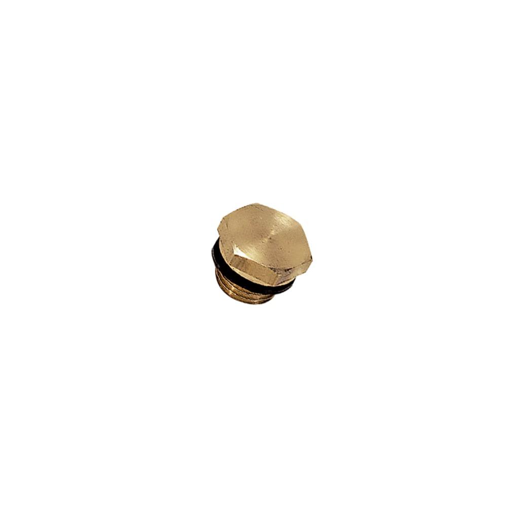 0220 19 00 — Brass Accessories for Compression Fittings — Hex head plug with captive sealing washer male — 19mm
