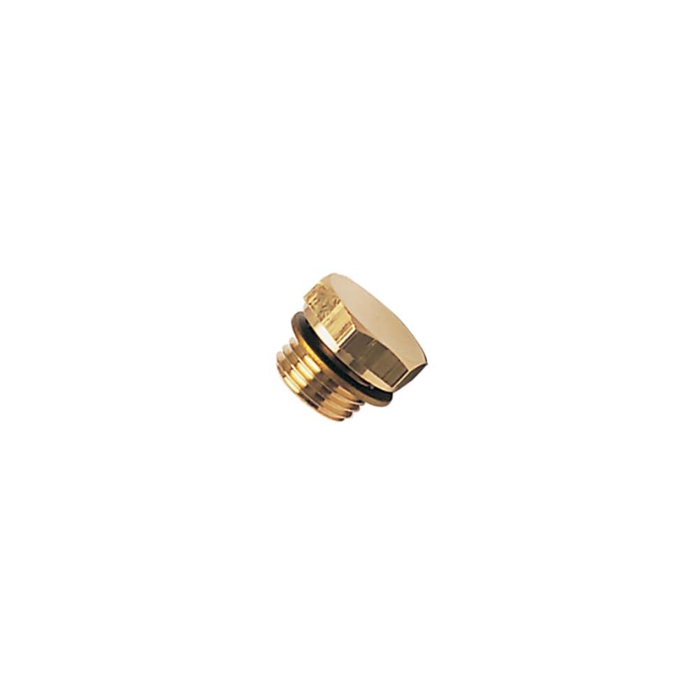 0220 13 00 39 — Brass Accessories for Compression Fittings — Hex head plug with bi-material sealing male — 13mm