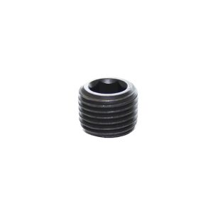 0206 10 00 — Internal Hexagon Head — R1/8