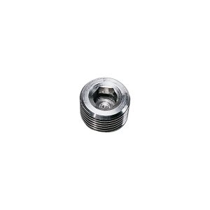 Legris 0285 Internal Hexagon Head Plug